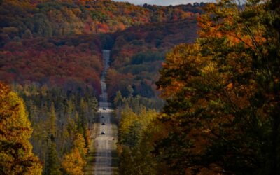 September Newsletter