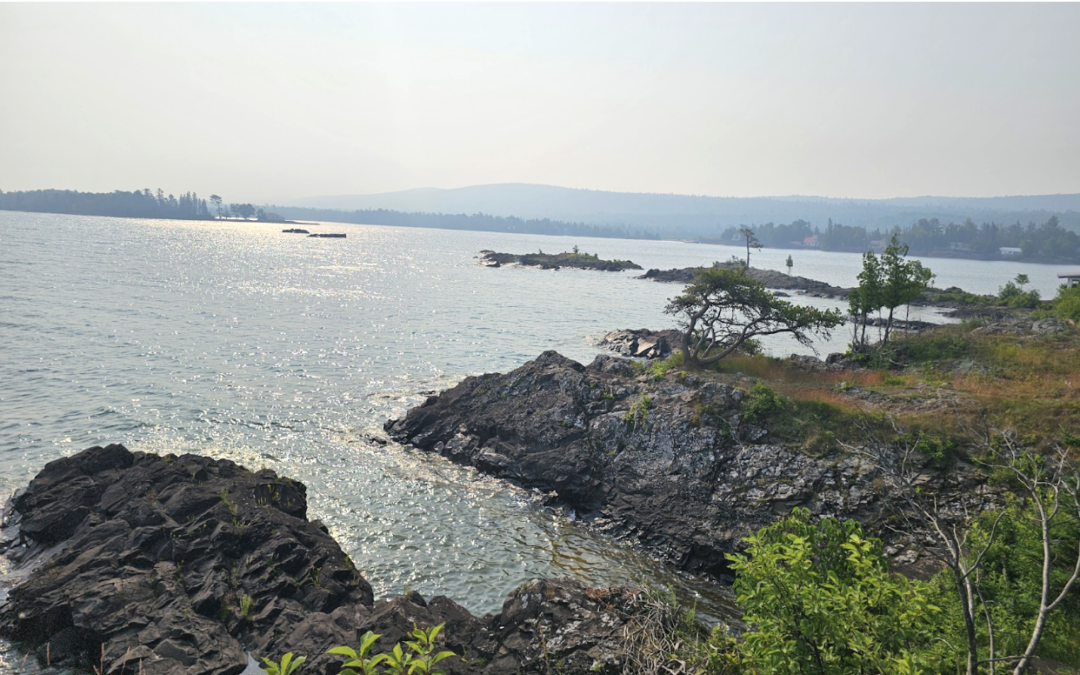 Michigan Is Perfectly Positioned for Airbnb’s 2026 Travel Trends—Here’s How STR Owners Can Capitalize